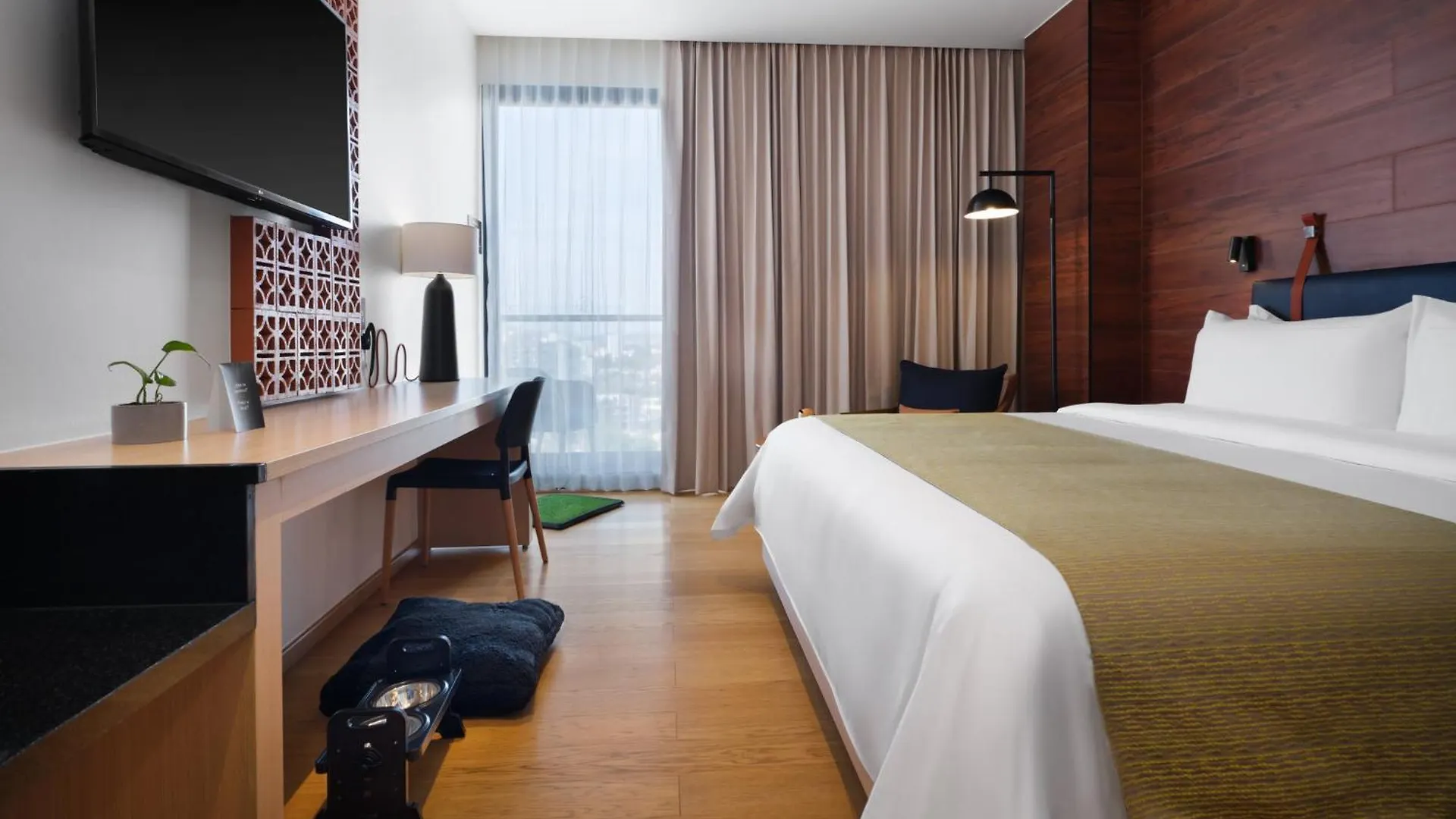 Voco Guadalajara Neruda By Ihg Otel